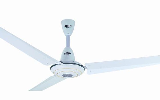 Amin Model