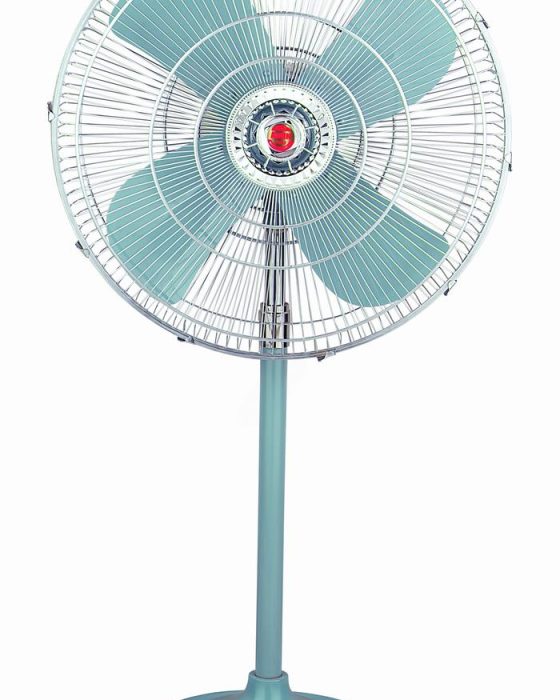 Pedestal Fan 24 Gray
