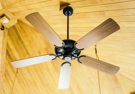 ceiling-fan ceiling-fan