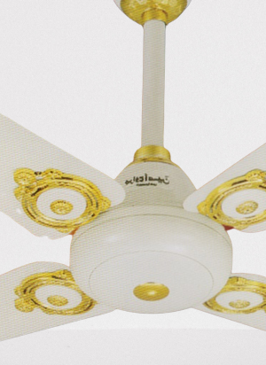 Unique Celling fan